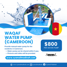 Load image into Gallery viewer, Waqaf Water Pump (Cameroon)