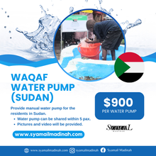 Load image into Gallery viewer, Waqaf Water Pump (Sudan)
